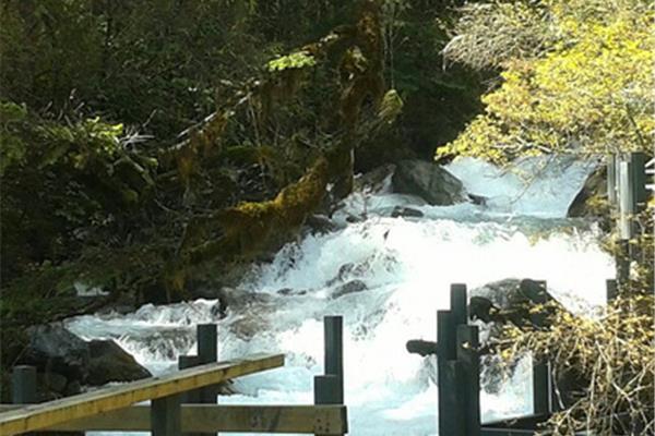 四川自駕游攻略:大熊貓生態(tài)之旅必去